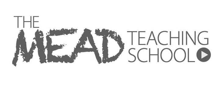 Mead Teaching School logo